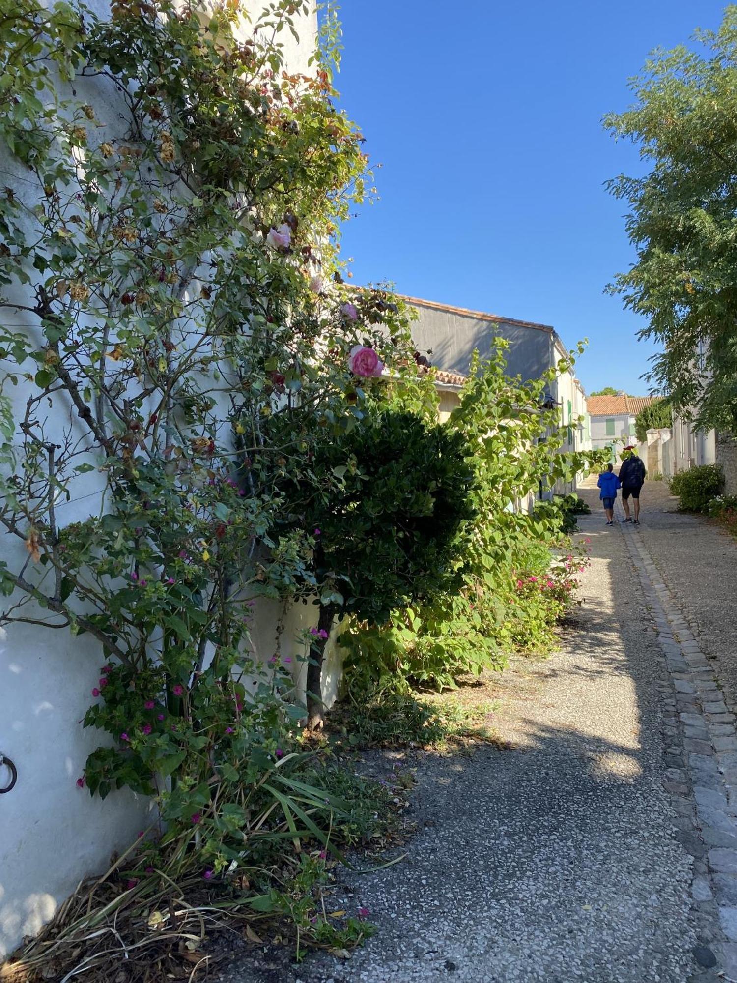 Appartamento Les Remparts Saint-Martin-de-Ré Esterno foto